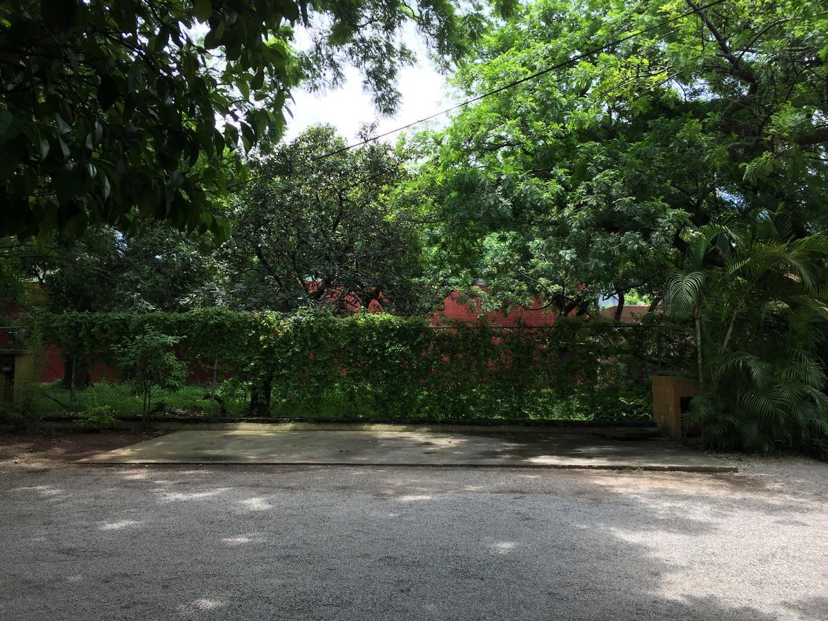 Tubohotel Tepoztlán Exteriér fotografie